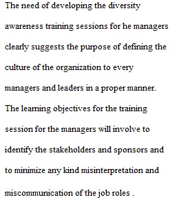 Diversity Awareness Training Session